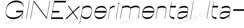 GINExperimental Ita字体转换